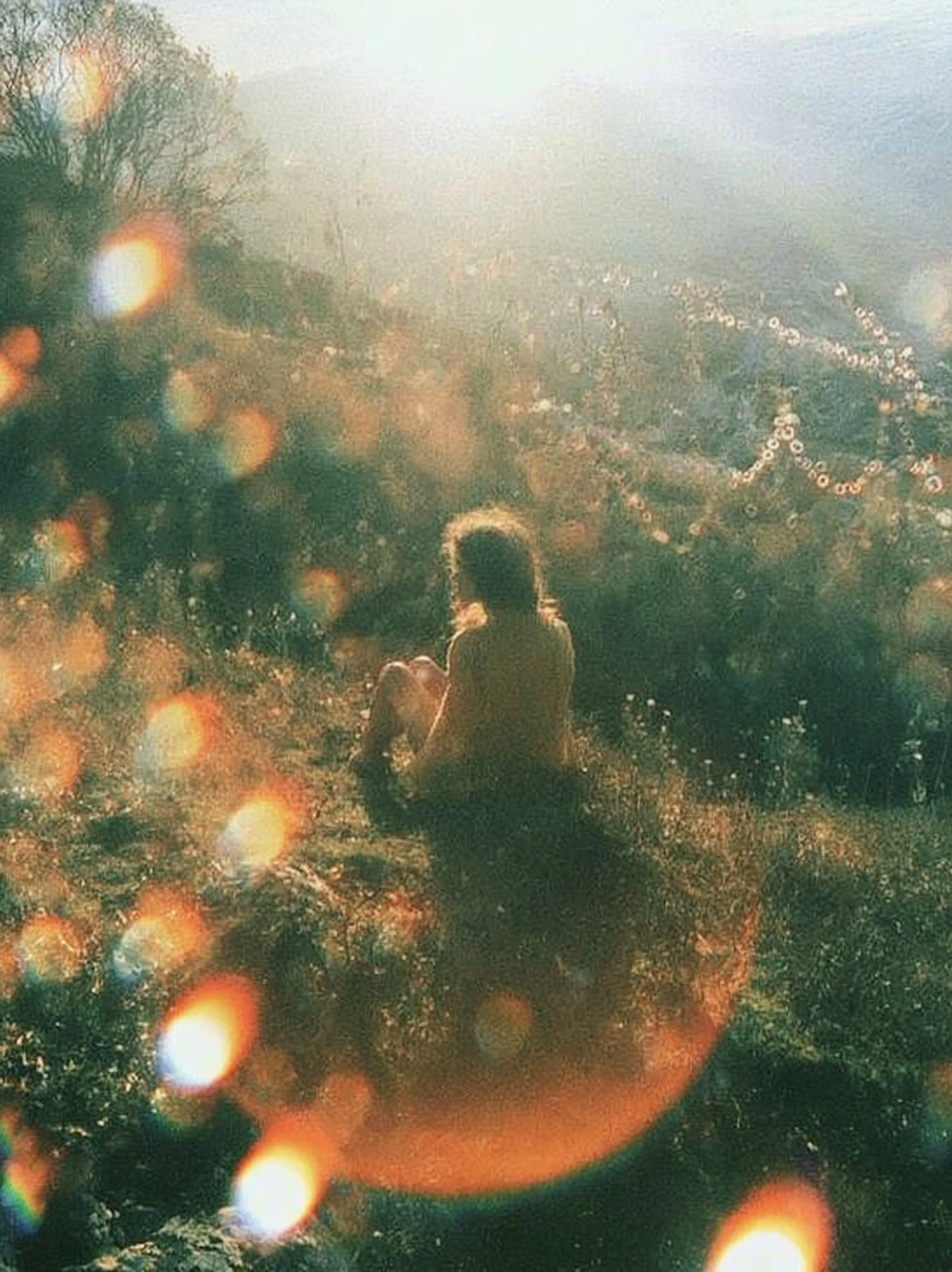 A person sitting alone on a hillside of long grass and wildflowers, facing into low sun
